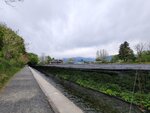 28042025_Samsung Galaxy Note 20 Ultra_Tour to Tateyama_Naganoken_Daiowasabi no Ujo00066