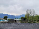 28042025_Samsung Galaxy Note 20 Ultra_Tour to Tateyama_Naganoken_Daiowasabi no Ujo00075