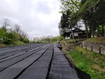 28042025_Samsung Galaxy Note 20 Ultra_Tour to Tateyama_Naganoken_Daiowasabi no Ujo00078