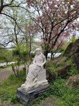 28042025_Samsung Galaxy Note 20 Ultra_Tour to Tateyama_Naganoken_Daiowasabi no Ujo00184