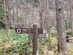 28042025_Samsung Galaxy Note 20 Ultra_Tour to Tateyama_Naganoken_Kamikochi00021