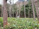28042025_Samsung Galaxy Note 20 Ultra_Tour to Tateyama_Naganoken_Kamikochi00022