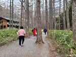 28042025_Samsung Galaxy Note 20 Ultra_Tour to Tateyama_Naganoken_Kamikochi00023
