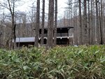 28042025_Samsung Galaxy Note 20 Ultra_Tour to Tateyama_Naganoken_Kamikochi00024