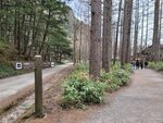 28042025_Samsung Galaxy Note 20 Ultra_Tour to Tateyama_Naganoken_Kamikochi00027