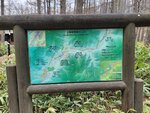 28042025_Samsung Galaxy Note 20 Ultra_Tour to Tateyama_Naganoken_Kamikochi00028