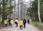 28042025_Samsung Galaxy Note 20 Ultra_Tour to Tateyama_Naganoken_Kamikochi00029