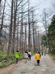 28042025_Samsung Galaxy Note 20 Ultra_Tour to Tateyama_Naganoken_Kamikochi00030