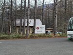 28042025_Samsung Galaxy Note 20 Ultra_Tour to Tateyama_Naganoken_Way to Daiowasabi no Ujo00002