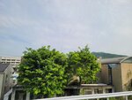 28042025_Samsung Galaxy Note 20 Ultra_Tour to Tateyama_Way to Naganoken_Kamikochi00002