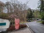 29042025_Samsamg Galaxy Note 20 Ultra_Tour to Tateyama_Naganoken_Azumino Morning00001