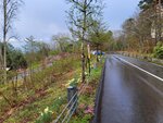 29042025_Samsamg Galaxy Note 20 Ultra_Tour to Tateyama_Naganoken_Azumino Morning00005
