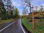 29042025_Samsamg Galaxy Note 20 Ultra_Tour to Tateyama_Naganoken_Azumino Morning00014