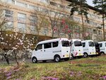 29042025_Samsamg Galaxy Note 20 Ultra_Tour to Tateyama_Naganoken_Azumino Morning00060