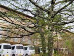 29042025_Samsamg Galaxy Note 20 Ultra_Tour to Tateyama_Naganoken_Azumino Morning00062