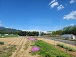 29042025_Samsamg Galaxy Note 20 Ultra_Tour to Tateyama_Naganoken_Way to Ogizawa Eki00006