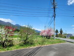 29042025_Samsamg Galaxy Note 20 Ultra_Tour to Tateyama_Naganoken_Way to Ogizawa Eki00009