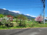 29042025_Samsamg Galaxy Note 20 Ultra_Tour to Tateyama_Naganoken_Way to Ogizawa Eki00010