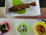 30042025_Samsung Galaxy Note 20 Ultra_Tour to Tateyama_Gifuken_Lunch at Miboroko00011