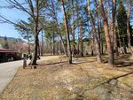 30042025_Samsung Galaxy Note 20 Ultra_Tour to Tateyama_Gifuken_Miboroko00008