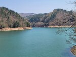 30042025_Samsung Galaxy Note 20 Ultra_Tour to Tateyama_Gifuken_Miboroko00014