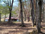 30042025_Samsung Galaxy Note 20 Ultra_Tour to Tateyama_Gifuken_Miboroko00015