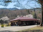 30042025_Samsung Galaxy Note 20 Ultra_Tour to Tateyama_Gifuken_Miboroko00017