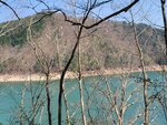 30042025_Samsung Galaxy Note 20 Ultra_Tour to Tateyama_Gifuken_Miboroko00022