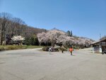 30042025_Samsung Galaxy Note 20 Ultra_Tour to Tateyama_Gifuken_Miboroko00047