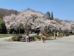 30042025_Samsung Galaxy Note 20 Ultra_Tour to Tateyama_Gifuken_Miboroko00048