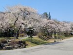 30042025_Samsung Galaxy Note 20 Ultra_Tour to Tateyama_Gifuken_Miboroko00049