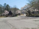 30042025_Samsung Galaxy Note 20 Ultra_Tour to Tateyama_Gifuken_Miboroko00052