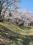 30042025_Samsung Galaxy Note 20 Ultra_Tour to Tateyama_Gifuken_Miboroko00059
