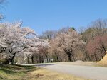 30042025_Samsung Galaxy Note 20 Ultra_Tour to Tateyama_Gifuken_Miboroko00061