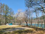 30042025_Samsung Galaxy Note 20 Ultra_Tour to Tateyama_Gifuken_Miboroko00067