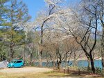 30042025_Samsung Galaxy Note 20 Ultra_Tour to Tateyama_Gifuken_Miboroko00069