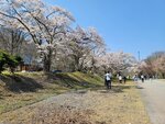 30042025_Samsung Galaxy Note 20 Ultra_Tour to Tateyama_Gifuken_Miboroko00071