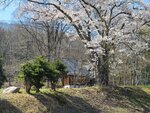 30042025_Samsung Galaxy Note 20 Ultra_Tour to Tateyama_Gifuken_Miboroko00073