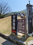 30042025_Samsung Galaxy Note 20 Ultra_Tour to Tateyama_Gifuken Shirakawago00003