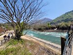 30042025_Samsung Galaxy Note 20 Ultra_Tour to Tateyama_Gifuken Shirakawago00007