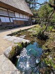 30042025_Samsung Galaxy Note 20 Ultra_Tour to Tateyama_Gifuken Shirakawago00047