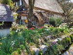 30042025_Samsung Galaxy Note 20 Ultra_Tour to Tateyama_Gifuken Shirakawago00052