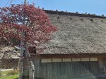 30042025_Samsung Galaxy Note 20 Ultra_Tour to Tateyama_Gifuken Shirakawago00062