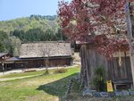 30042025_Samsung Galaxy Note 20 Ultra_Tour to Tateyama_Gifuken Shirakawago00063