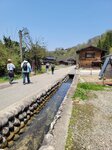 30042025_Samsung Galaxy Note 20 Ultra_Tour to Tateyama_Gifuken Shirakawago00106