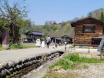 30042025_Samsung Galaxy Note 20 Ultra_Tour to Tateyama_Gifuken Shirakawago00107