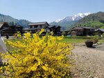 30042025_Samsung Galaxy Note 20 Ultra_Tour to Tateyama_Gifuken Shirakawago00112