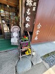 30042025_Samsung Galaxy Note 20 Ultra_Tour to Tateyama_Gifuken Shirakawago00120