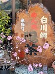 30042025_Samsung Galaxy Note 20 Ultra_Tour to Tateyama_Gifuken Shirakawago00133