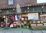 30042025_Samsung Galaxy Note 20 Ultra_Tour to Tateyama_Gifuken Shirakawago00135